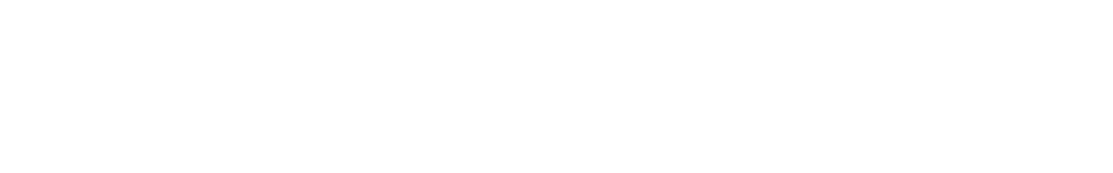 Vengeance Racing 20th Anniversary White Logo