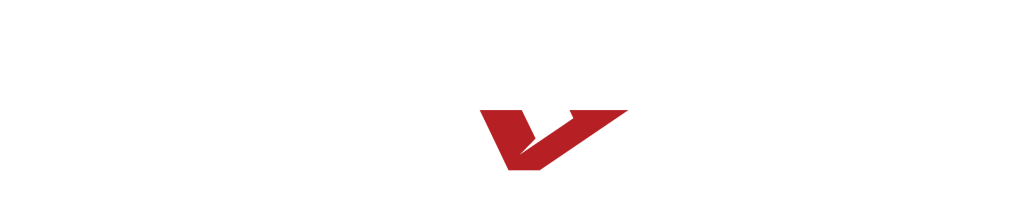 20th Anniversary logo for invitation
